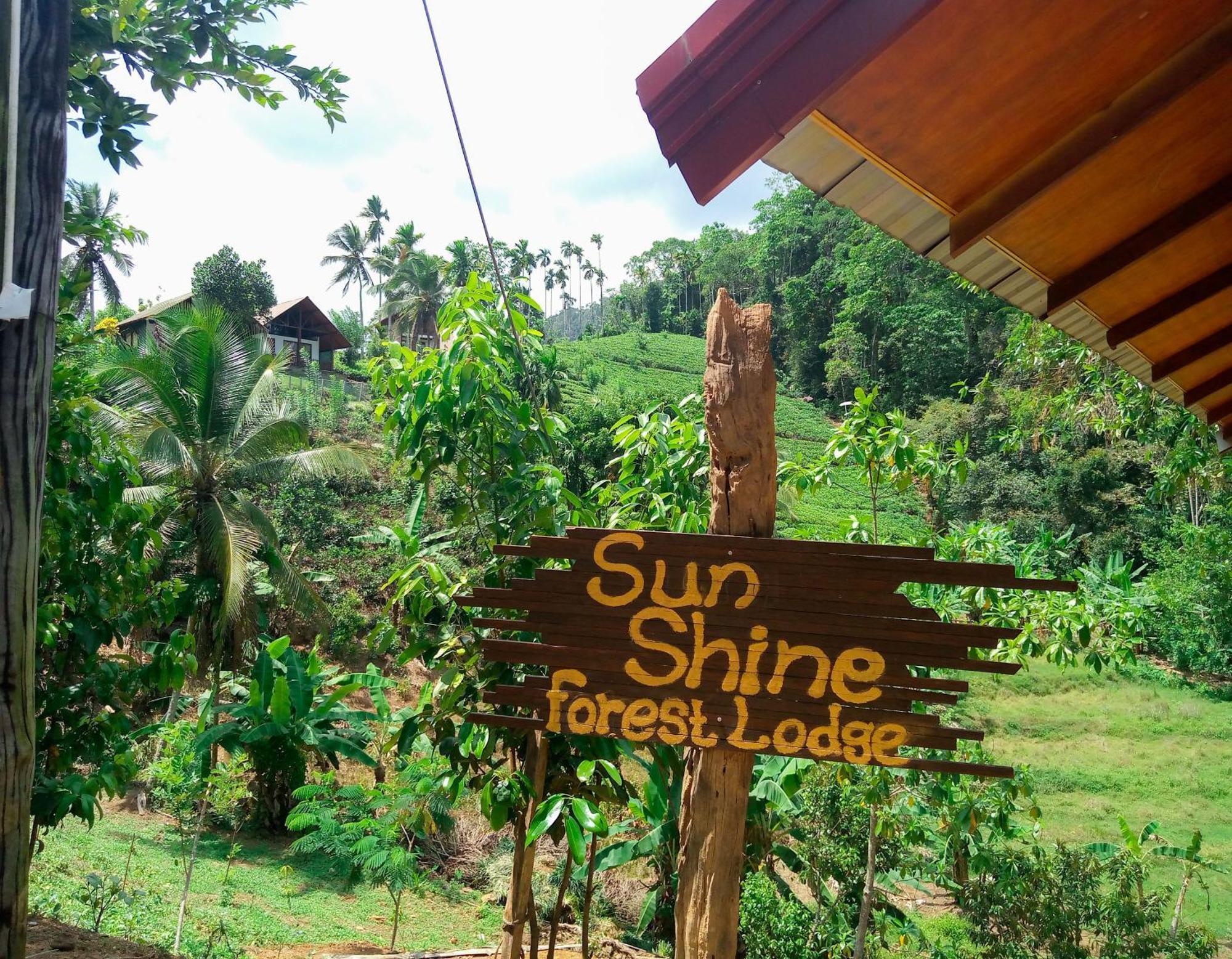 Sunshine Forest Lodge - Sinharaja Deniyaya Eksteriør bilde